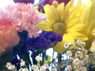 flowers8.jpg